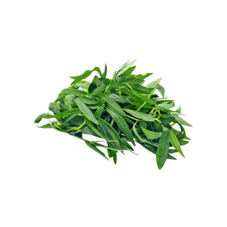Brazillian Spinach / Ponnaganti