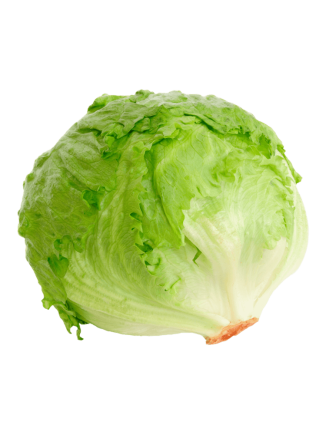 IceBerg Lettuce