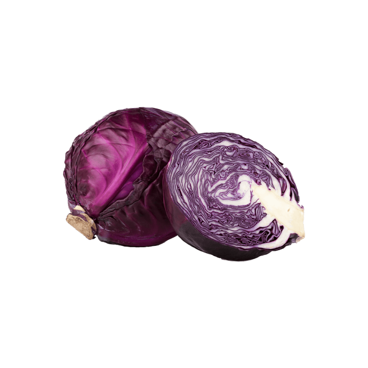 Red Cabbage